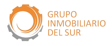 GRUPO INMOBILIARIO DEL SUR